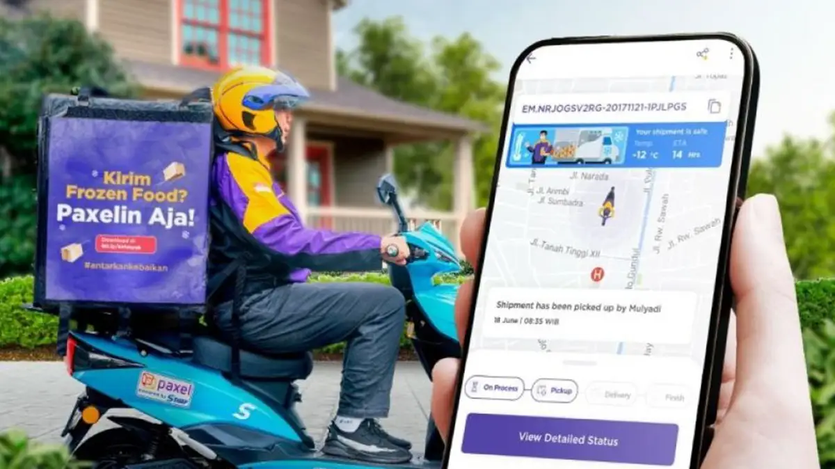 Sejarah dan Perkembangan Paxel